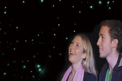 Natural Bridge Glow Worm Night Tour From Gold Coast - Accommodation Newcastle 3