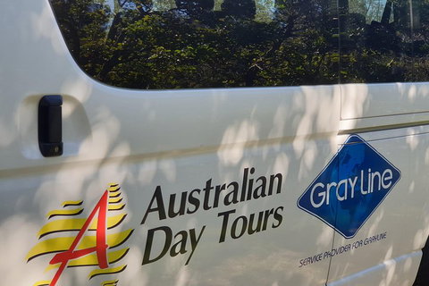 Natural Bridge Glow Worm Night Tour From Gold Coast - Accommodation Newcastle 5