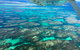 Shipwreck Special Full Day Tour Of The Abrolhos Islands - thumb 1