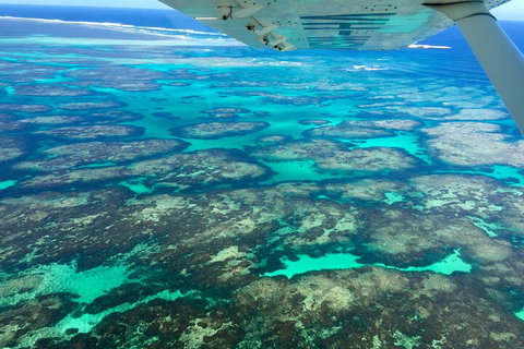 Shipwreck Special Full Day Tour Of The Abrolhos Islands - Accommodation Newcastle 1