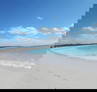 Shipwreck Special Nature Tour/Half Day Tour - Accommodation Newcastle