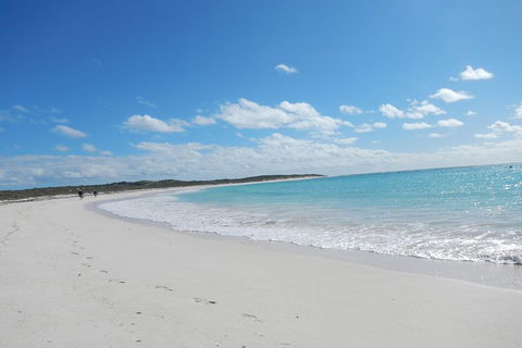 Shipwreck Special Nature Tour/Half Day Tour - Accommodation Newcastle 0