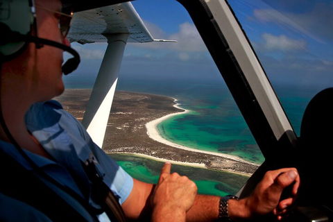 Shipwreck Special Nature Tour/Half Day Tour - Accommodation Newcastle 1