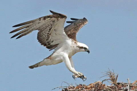 Shipwreck Special Nature Tour/Half Day Tour - Accommodation Newcastle 4