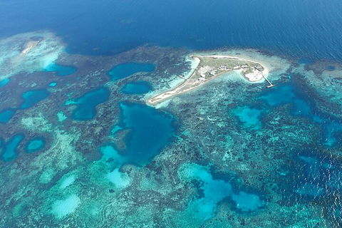 Shipwreck Special Nature Tour/Half Day Tour - Accommodation Newcastle 5