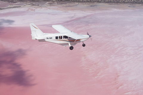 Pink Lake + Abrolhos Islands Nature Tour - Accommodation Newcastle 0