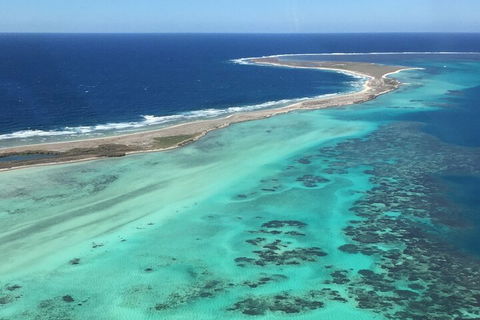 Pink Lake + Abrolhos Islands Nature Tour - Accommodation Newcastle 2