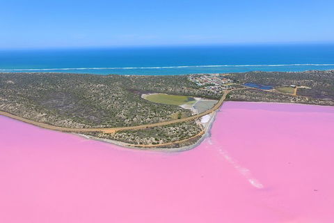 Pink Lake + Abrolhos Islands Nature Tour - Accommodation Newcastle 4