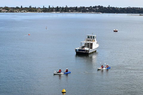 Cliffs And Caves Kayak Tour In Swan River - Accommodation Newcastle 2