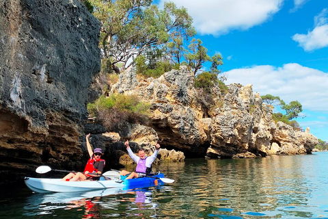 Cliffs And Caves Kayak Tour In Swan River - Accommodation Newcastle 3