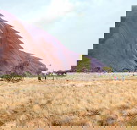 Uluru Sunrise and Guided Base Walk - Accommodation Newcastle