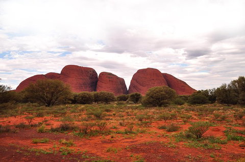 Ayers Rock Combo: Uluru Base And Sunset Plus Uluru Sunrise And Kata Tjuta With An Optional BBQ Dinner Or Kings Canyon Day Trip - Accommodation Newcastle 1
