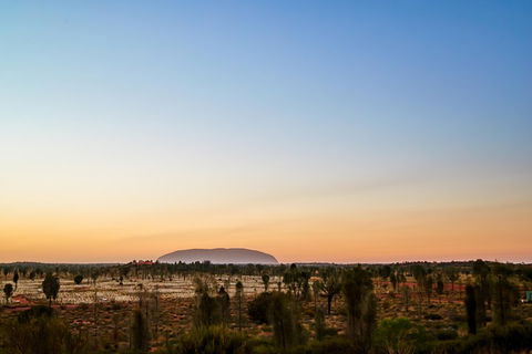 Uluru (Ayers Rock) Field Of Light Sunrise Tour - Accommodation Newcastle 0