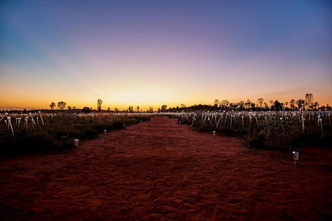 Uluru (Ayers Rock) Field Of Light Sunrise Tour - Accommodation Newcastle 3