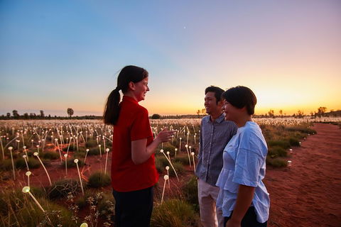 Uluru (Ayers Rock) Field Of Light Sunrise Tour - Accommodation Newcastle 5