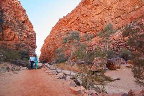 Best Of Alice Springs Full Day Tour - Accommodation Newcastle 1
