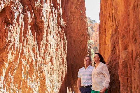Best Of Alice Springs Full Day Tour - Accommodation Newcastle 4
