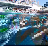 Great Barrier Reef Day Cruise from Cairns Including Snorkeling and Marine Biologist Presentation - Accommodation Newcastle