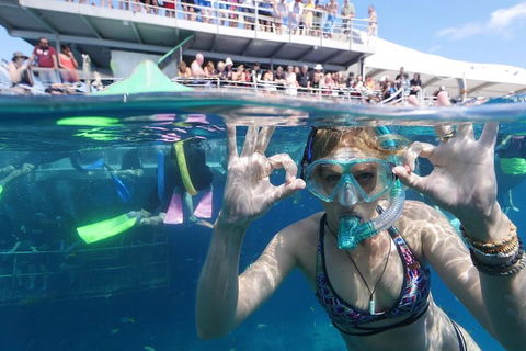 Great Barrier Reef Day Cruise From Cairns Including Snorkeling And Marine Biologist Presentation - Accommodation Newcastle 0