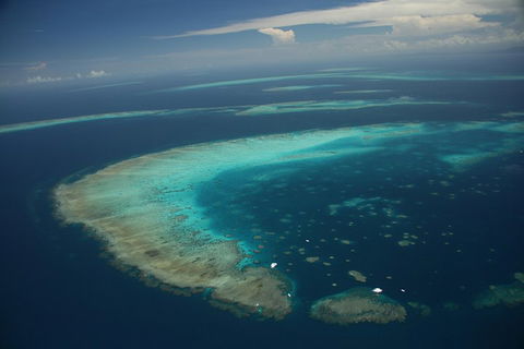Great Barrier Reef Day Cruise From Cairns Including Snorkeling And Marine Biologist Presentation - Accommodation Newcastle 1