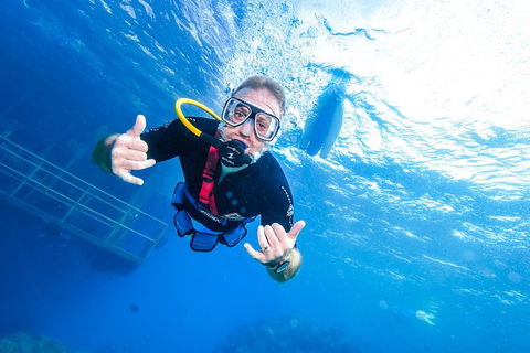 Great Barrier Reef Day Cruise From Cairns Including Snorkeling And Marine Biologist Presentation - Accommodation Newcastle 3