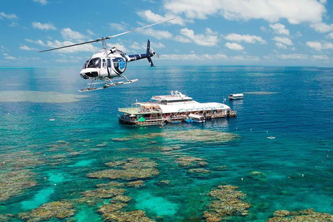 Great Barrier Reef Day Cruise From Cairns Including Snorkeling And Marine Biologist Presentation - Accommodation Newcastle 5