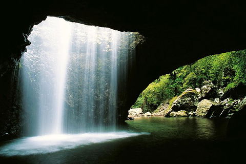 Natural Bridge & Springbrook Waterfalls Tour - Accommodation Newcastle 0