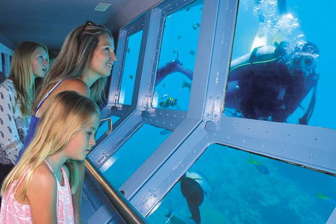 Quicksilver Outer Great Barrier Reef Snorkel Cruise From Palm Cove - Accommodation Newcastle 0