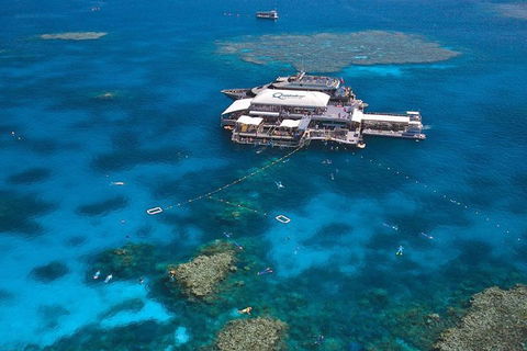 Quicksilver Outer Great Barrier Reef Snorkel Cruise From Palm Cove - Accommodation Newcastle 1