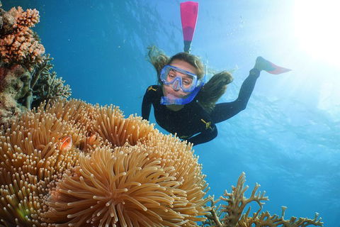 Quicksilver Outer Great Barrier Reef Snorkel Cruise From Palm Cove - Accommodation Newcastle 2