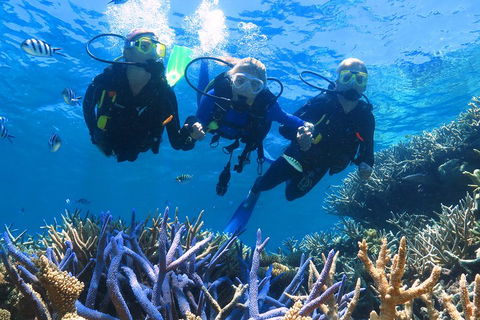 Quicksilver Outer Great Barrier Reef Snorkel Cruise From Palm Cove - Accommodation Newcastle 3
