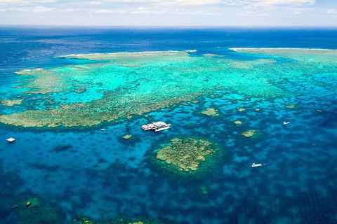 Quicksilver Outer Great Barrier Reef Snorkel Cruise From Palm Cove - Accommodation Newcastle 4