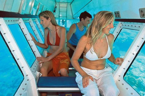 Quicksilver Outer Great Barrier Reef Snorkel Cruise From Palm Cove - Accommodation Newcastle 5