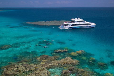 Silversonic Outer Great Barrier Reef Dive And Snorkel Cruise From Port Douglas - Accommodation Newcastle 2