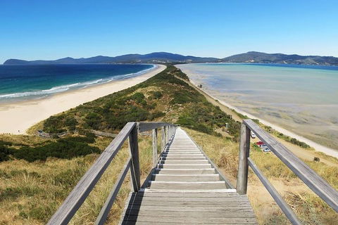Bruny Island Private Charter Service - Accommodation Newcastle 4