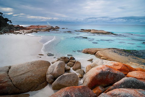 Wineglass Bay Private Charter Service - Accommodation Newcastle 0
