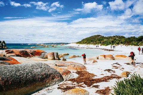 Wineglass Bay Private Charter Service - Accommodation Newcastle 3