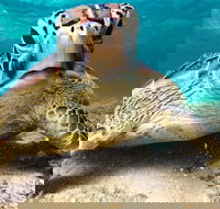 Sail Snorkel SUP  Kayak Charter Whitsundays - Accommodation Newcastle