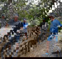 Fully guided E-Mountain Bike Tour on the beautiful Mornington Peninsula. - Accommodation Newcastle