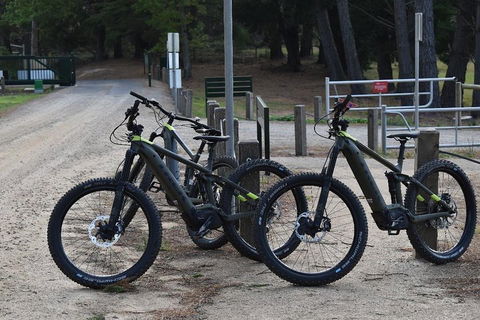 Fully Guided E-Mountain Bike Tour On The Beautiful Mornington Peninsula. - Accommodation Newcastle 2