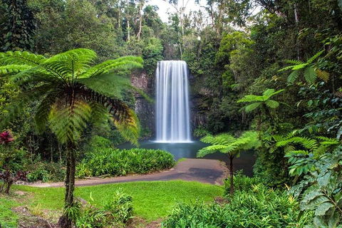 Cairns & Port Douglas All-Inclusive 7 Days Touring Package - Accommodation Newcastle 2