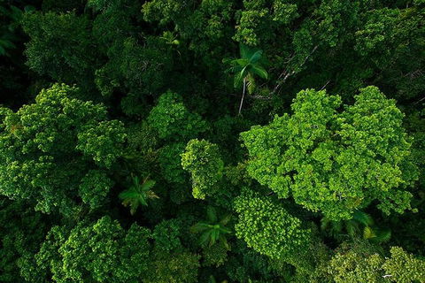 Cairns & Port Douglas All-Inclusive 7 Days Touring Package - Accommodation Newcastle 4