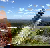 3 nights 2 full days private guided tour of the Sunshine Coast and Hinterland - Accommodation Newcastle