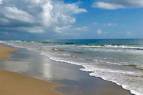 3 Nights 2 Full Days Private Guided Tour Of The Sunshine Coast And Hinterland - Accommodation Newcastle 4