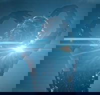 Great Opera Hits at the Sydney Opera House - Accommodation Newcastle