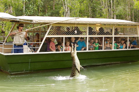 Hartley's Crocodile Adventure Half-Day Tour - Accommodation Newcastle 0