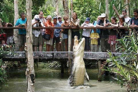 Hartley's Crocodile Adventure Half-Day Tour - Accommodation Newcastle 1