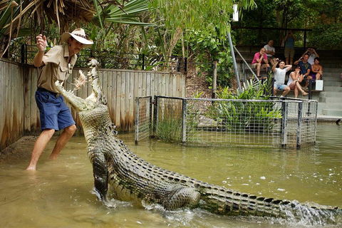 Hartley's Crocodile Adventure Half-Day Tour - Accommodation Newcastle 2
