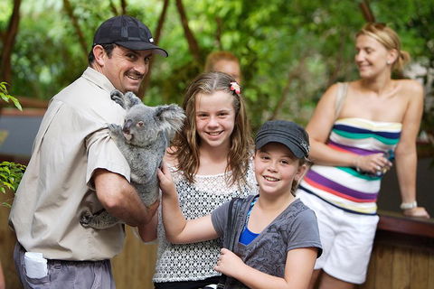 Hartley's Crocodile Adventure Half-Day Tour - Accommodation Newcastle 3