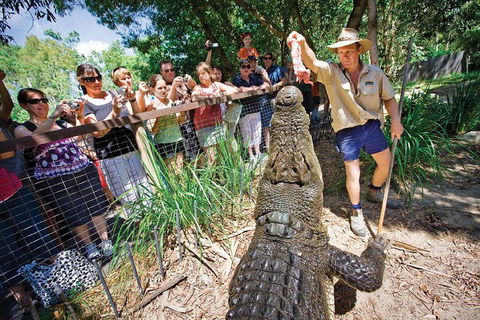 Hartley's Crocodile Adventure Half-Day Tour - Accommodation Newcastle 4